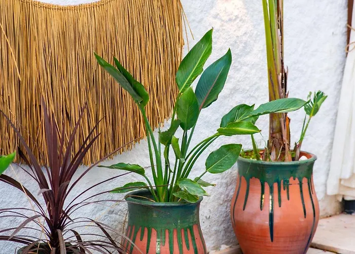 Отель The Comelly Alacati Кешме